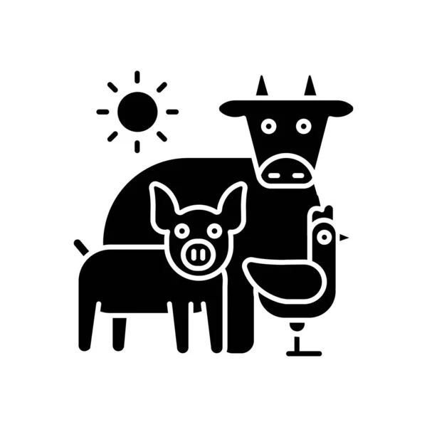Ikona Černého Glyfu Chovu Zvířat Farmářský Dobytek Chovám Dobytek Zemědělská — Stockový vektor