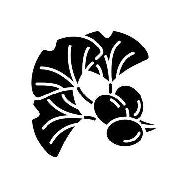 Ginkgo biloba siyah glyph simgesi. Doğal bitkisel malzeme. Japon yaprağı ve fasulyesi. Enerji içeceği için alternatif tıbbi katkı maddesi. Beyaz uzayda siluet sembolü. Vektör izole illüstrasyonu