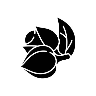 Guarana siyah kabartma simgesi. Organik uyarıcı. Tropik bitki. Enerji içeceği için malzeme. Beslenmek için bitkisel katkı maddesi. Beyaz uzayda siluet sembolü. Vektör izole illüstrasyonu