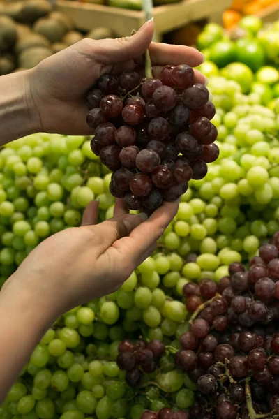 juicy ripe grapes in the hands of a woman in the market