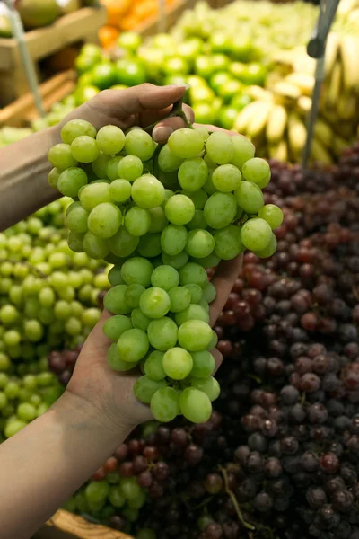 juicy ripe grapes in the hands of a woman in the market