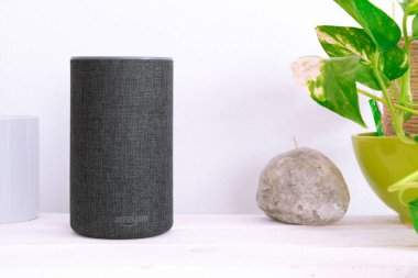 Gri Amazon Alexa Echo oturma odasında bir bitki ve zen dekorasyonunun yanındaki beyaz ahşap rafta. Düzenleyicinin içeriği için boş kopyalama alanı.