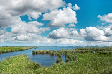 Bulutlu mavi gökyüzüne karşı pirinç tarlası olan Ebro Delta sulak arazisi. Düzenleyicinin metni için boş kopyalama alanı