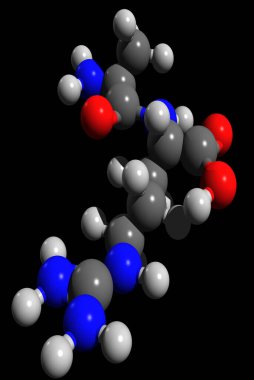 3D model - Peptidler peptit bağlarıyla birbirine bağlı iki ila elli amino asitten oluşan kısa zincirlerdir..