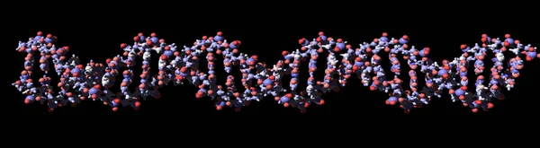 Beyaz zemin üzerinde izole edilmiş bir DNA çift sarmal yapı modelinin 3 boyutlu görüntülenmesi