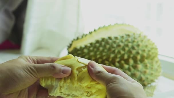 Świeże Owoce Durian Skórki Dłoni Skorupy Podnieść Powoli Oderwać Wyglądać — Wideo stockowe