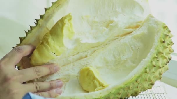 Pele Fresca Casca Mão Fruta Durian Pegar Arrancar Lentamente Olhar — Vídeo de Stock