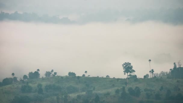 Tijd Verstrijken Pluizige Mist Wolk Stromend Natuurlijke Bos Berg Van — Stockvideo