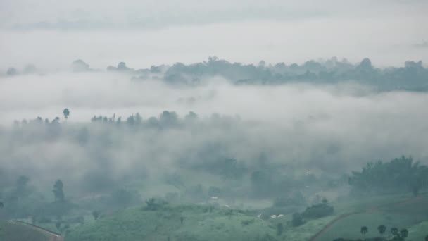 Zaman Aşımlı Yumuşak Sis Bulutu Sabah Bulutlu Gökyüzünden Doğal Orman — Stok video