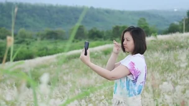 Selfie Smartphone Krajinou Příroda Bílá Růžová Tráva Květiny Horském Pozadí — Stock video