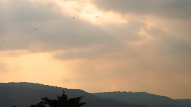 Time Lapse Zonsondergang Prachtige Schemering Pluizige Storm Bewolkt Blauw Gele — Stockvideo