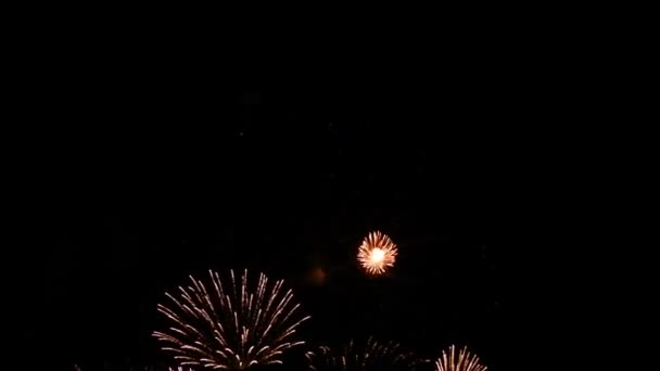 Abstract Fantastic Dazzling Beautiful Colorful Fireworks Display Black Isolate Night — Stock Video