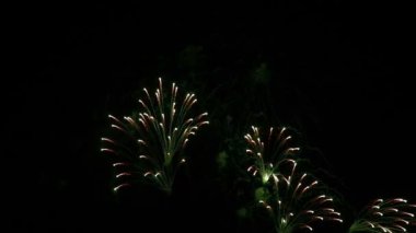 Göz kamaştırıcı, soyut, göz kamaştırıcı, güzel havai fişek gösterisi parktaki karanlık gökyüzü arka planında. Noel ve Yeni Yıl Festivali 'ni kutlayın. Mutlu bayram yıldönümü partisi