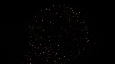 Göz kamaştırıcı, soyut, göz kamaştırıcı, güzel havai fişek gösterisi parktaki karanlık gökyüzü arka planında. Noel ve Yeni Yıl Festivali 'ni kutlayın. Mutlu bayram yıldönümü partisi