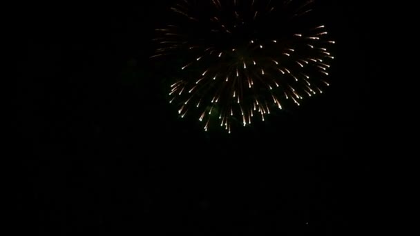 Abstract Fantastic Dazzling Beautiful Colorful Fireworks Display Black Isolate Night — Stock Video