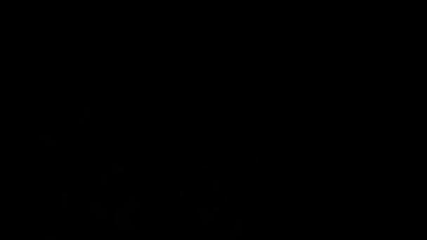Abstraktní Fantastické Oslnivé Krásné Barevné Ohňostroje Displej Černé Izolovat Noční — Stock video