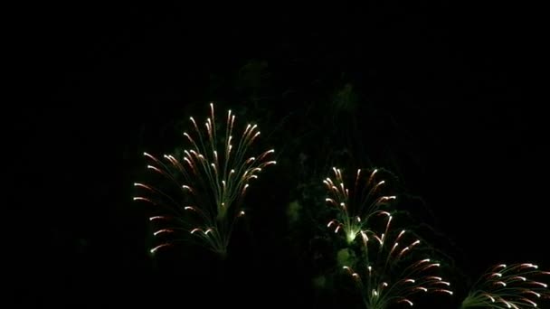 Abstract Fantastic Dazzling Beautiful Colorful Fireworks Display Black Isolate Night — Stock Video