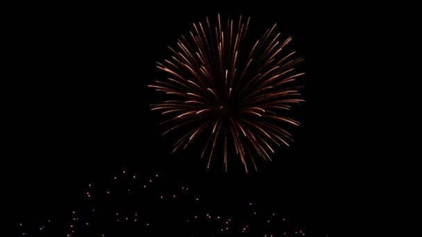 Abstrakte Fantastische Blendend Schöne Bunte Feuerwerk Auf Schwarzem Isolieren Nachthimmel — Stockvideo