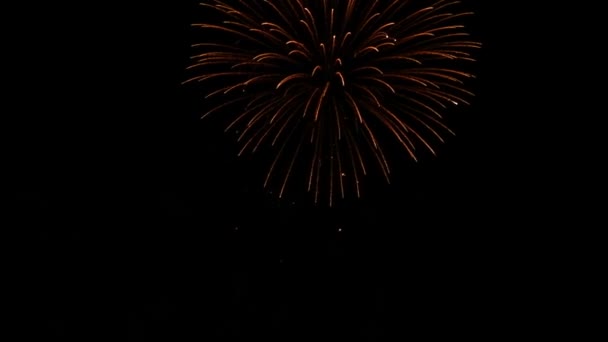 Abstrakte Fantastische Blendend Schöne Bunte Feuerwerk Auf Schwarzem Isolieren Nachthimmel — Stockvideo