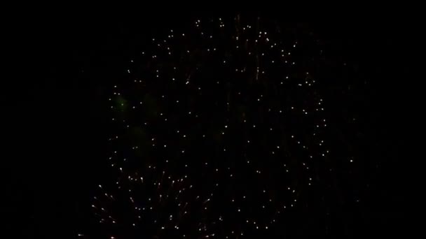 Abstrakte Fantastische Blendend Schöne Bunte Feuerwerk Auf Schwarzem Isolieren Nachthimmel — Stockvideo