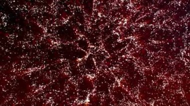 4K Sparkle parlak kırmızı parçacık hareketi siyah gradyan arka plan, galaksideki yıldız ışığı nebulası