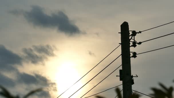 4K轮廓鸟在阴雨蓝天的电线电缆上相遇 免版税图库视频