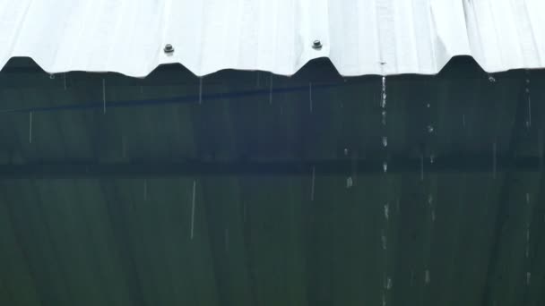 Dešťové Kapky Kapající Bílé Průmyslové Ploché Železné Střechy Abstraktní Smuteční — Stock video