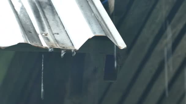 Rain Splash Droping Από Λευκή Βιομηχανική Επίπεδη Μεταλλική Πλάκα Οροφής — Αρχείο Βίντεο