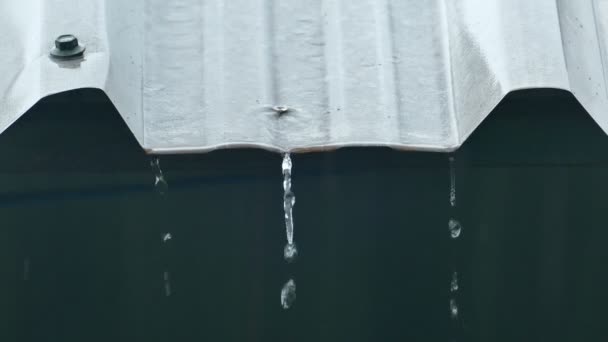 Rain Splash Droping Από Λευκή Βιομηχανική Επίπεδη Μεταλλική Πλάκα Οροφής — Αρχείο Βίντεο