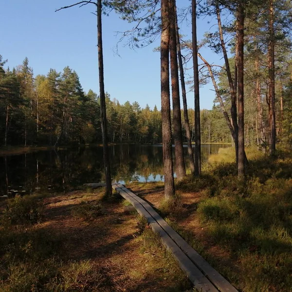 Bisiklet sürerken ya da dışarıda yürürken çektiğim resimler. Durdur ve doğayı izle.. 