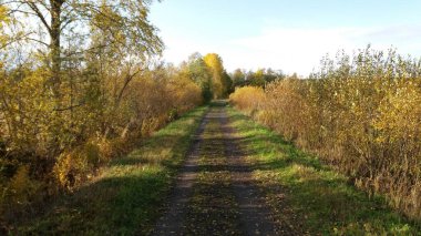 Bisiklet sürerken ya da dışarıda yürürken çektiğim resimler. Durdur ve doğayı izle.. 