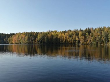 Bisiklet sürerken ya da dışarıda yürürken çektiğim resimler. Durdur ve doğayı izle.. 