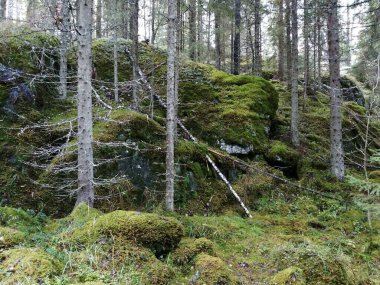 Bisiklet sürerken ya da dışarıda yürürken çektiğim resimler. Durdur ve doğayı izle..