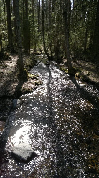 Bisiklet sürerken ya da dışarıda yürürken çektiğim resimler. Durdur ve doğayı izle.. 