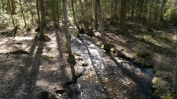 Bisiklet sürerken ya da dışarıda yürürken çektiğim resimler. Durdur ve doğayı izle.. 