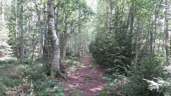 Bisiklet sürerken ya da dışarıda yürürken çektiğim resimler. Durdur ve doğayı izle.. 