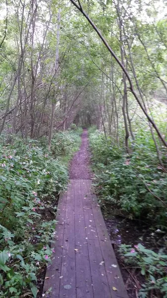 Bisiklet sürerken ya da dışarıda yürürken çektiğim resimler. Durdur ve doğayı izle.. 