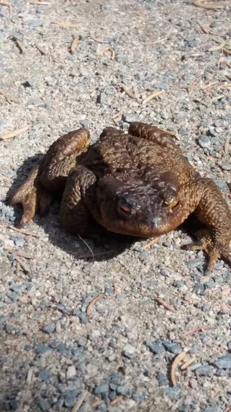 Pictures Take Biking Walking Just Pause Watch Nature — Stock Photo, Image