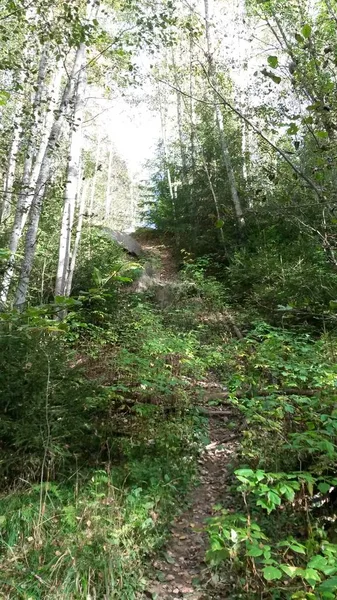 Bisiklet sürerken ya da dışarıda yürürken çektiğim resimler. Durdur ve doğayı izle.. 