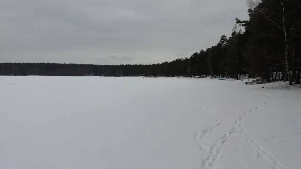 Bisiklet sürerken ya da dışarıda yürürken çektiğim resimler. Durdur ve doğayı izle.. 
