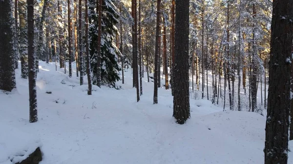 Bisiklet sürerken ya da dışarıda yürürken çektiğim resimler. Durdur ve doğayı izle.. 
