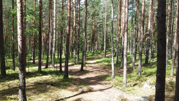 Bisiklet sürerken ya da dışarıda yürürken çektiğim resimler. Durdur ve doğayı izle.. 