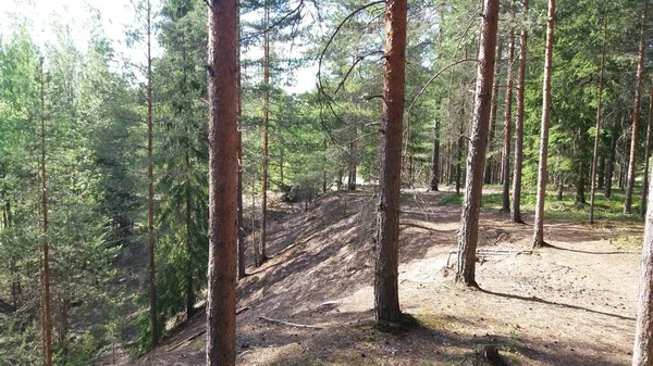 Bisiklet sürerken ya da dışarıda yürürken çektiğim resimler. Durdur ve doğayı izle.. 