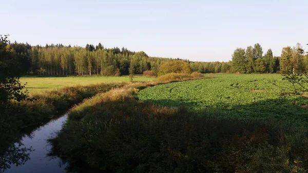Bisiklet sürerken ya da dışarıda yürürken çektiğim resimler. Durdur ve doğayı izle.. 