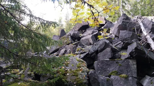 Bisiklet sürerken ya da dışarıda yürürken çektiğim resimler. Durdur ve doğayı izle.. 