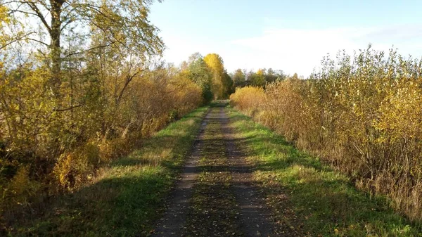 Bisiklet sürerken ya da dışarıda yürürken çektiğim resimler. Durdur ve doğayı izle.. 