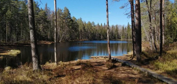 Biciklizés Vagy Sétálás Közben Készítek Képeket Csak Állj Meg Figyeld — Stock Fotó