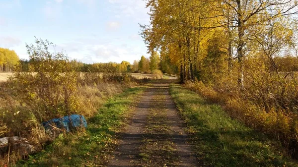 Foto Che Faccio Bicicletta Camminando Fuori Fermarsi Guardare Natura — Foto Stock