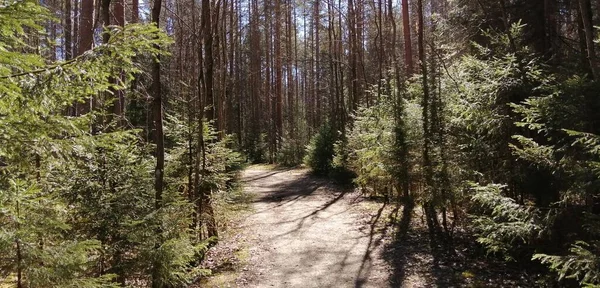 Bisiklet sürerken ya da dışarıda yürürken çektiğim resimler. Durdur ve doğayı izle.. 