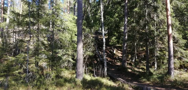 Bisiklet sürerken ya da dışarıda yürürken çektiğim resimler. Durdur ve doğayı izle.. 